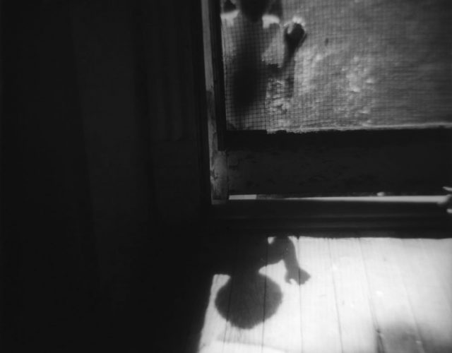 child at screen door