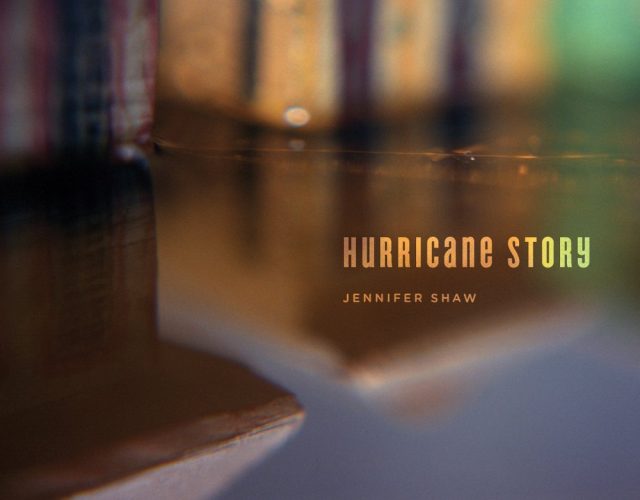 Hurricane Story Cover - Chin Music Press