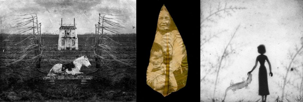 Between Land & Sea: Binh Danh, David Knox, and Jennifer Shaw