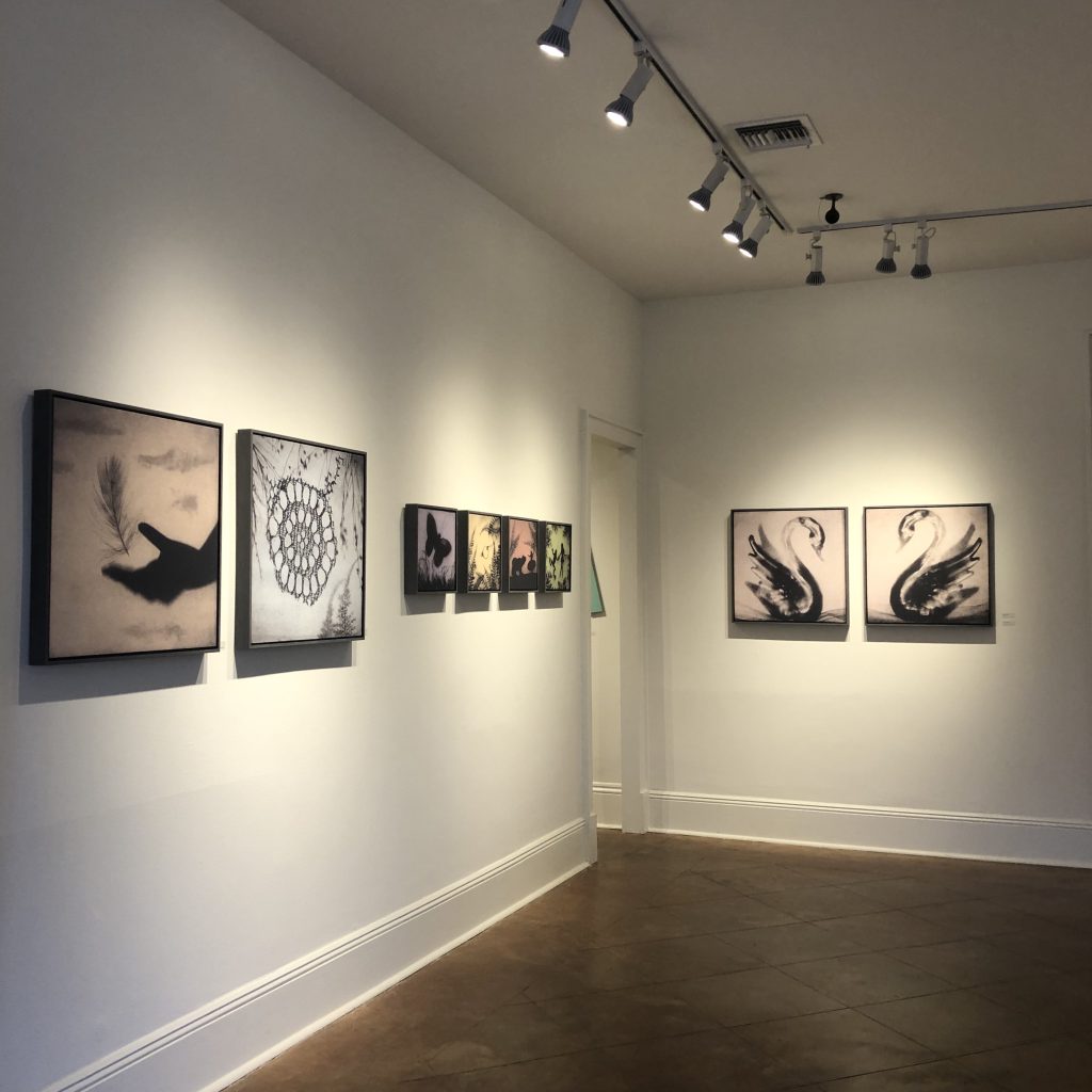 Installation view of 'swan, swan, spiderweb' at Cole Pratt Gallery, New Orleans. Canvases of multiple hues and sizes are hung on white walls. 