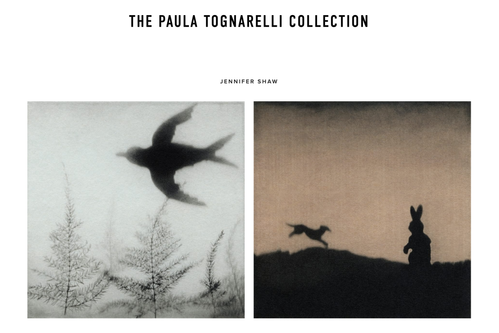 Image from Maine Museum of Photographic Arts. Headline text reads "The Paula Tognarelli Collection" above two square images by Jennifer Shaw. On left, a black bird with forked tale flying over wispy tree shapes on pale blue backround. On right:  landscape of rabbit gazing at dog that is running on hill in the distance, all rendered in silhouette against and orange tinted sky. 