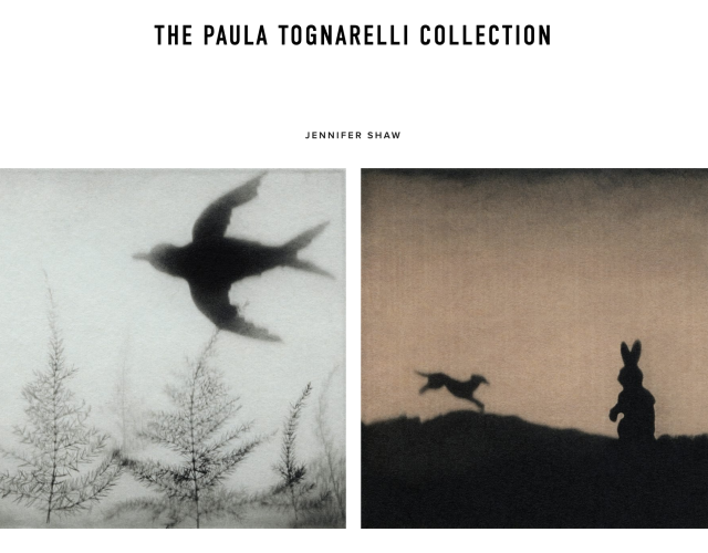 Image from Maine Museum of Photographic Arts. Headline text reads "The Paula Tognarelli Collection" above two square images by Jennifer Shaw. On left, a black bird with forked tale flying over wispy tree shapes on pale blue backround. On right: landscape of rabbit gazing at dog that is running on hill in the distance, all rendered in silhouette against and orange tinted sky.