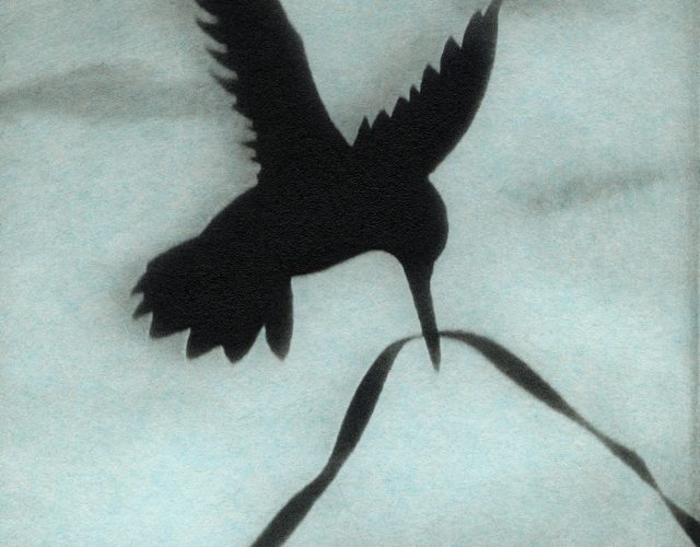 Silhoutte of bird with long beak holding a string. Bird hovers mid flight with soft grey clouds floating behind in a pale blue sky. Bird with String I, 2022 Photogravure Jennifer Shaw
